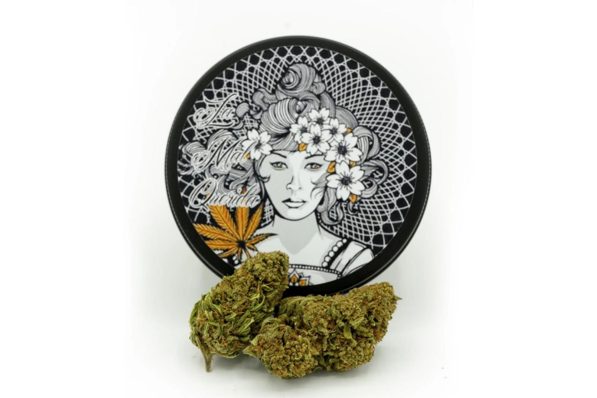 ¿Cómo son las populares flores de CBD?