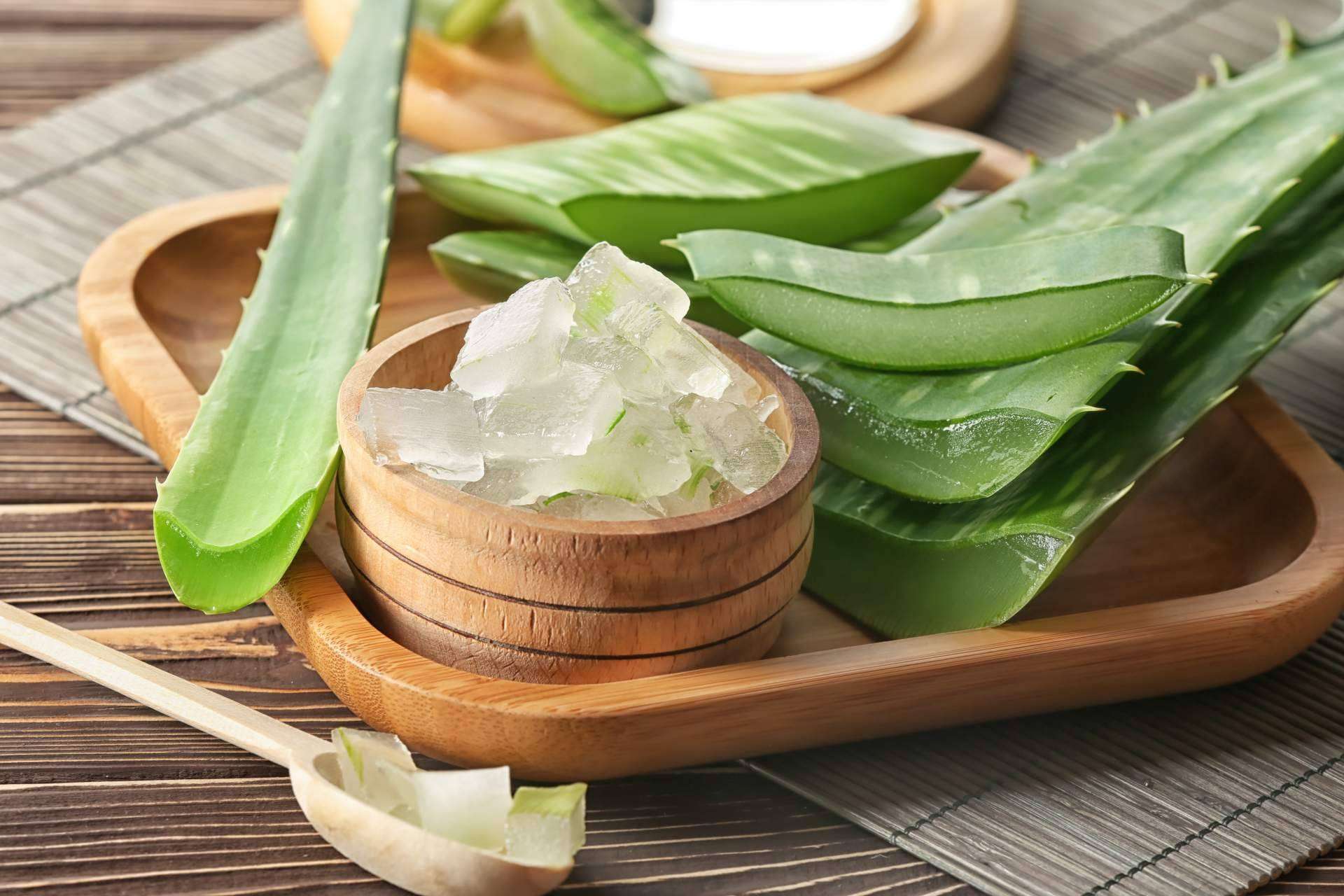 ¿Cuáles son los beneficios del aloe vera? Por Territorio Aloe