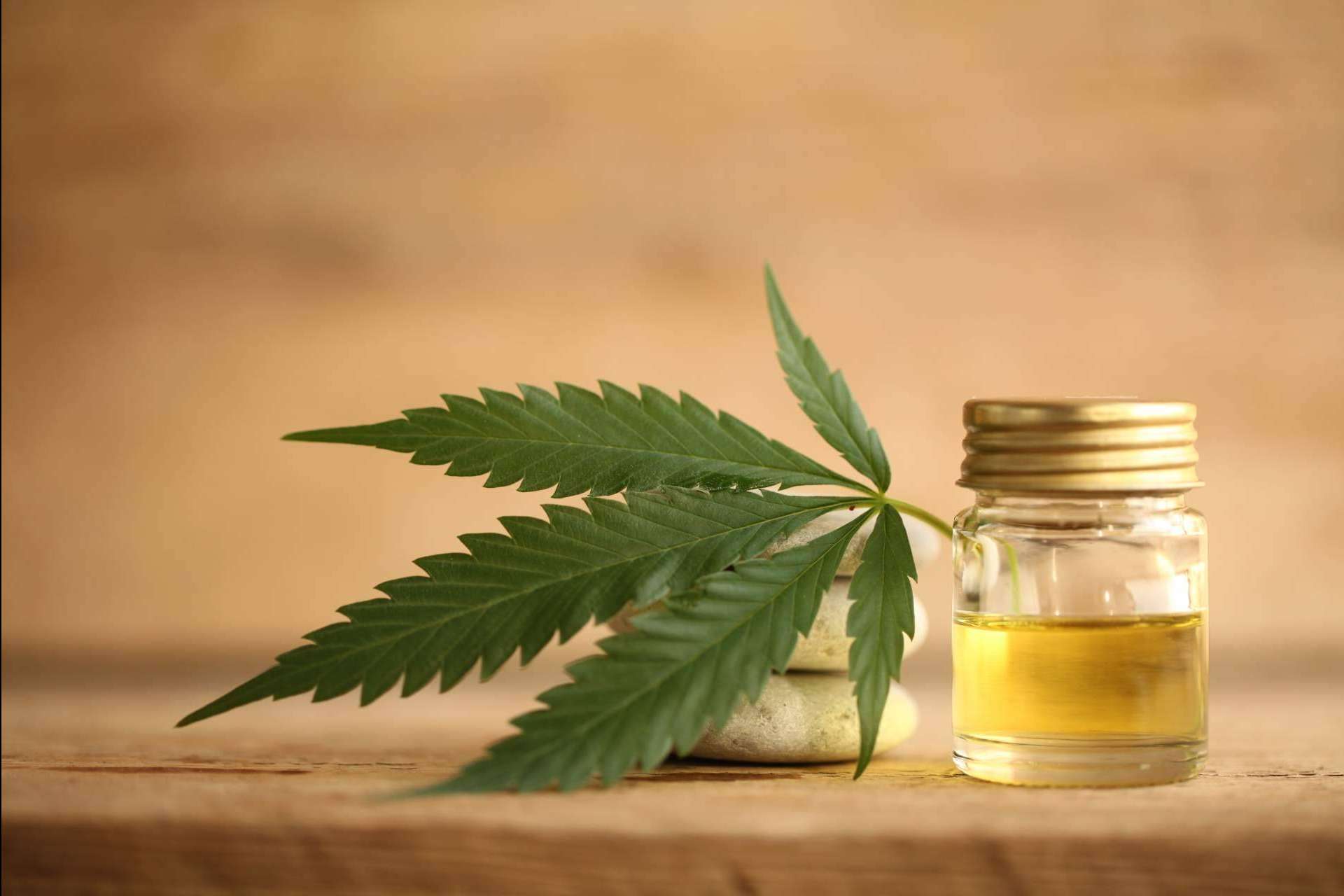 Las flores CBD y las ventajas de los productos derivados de éste cáñamo legal