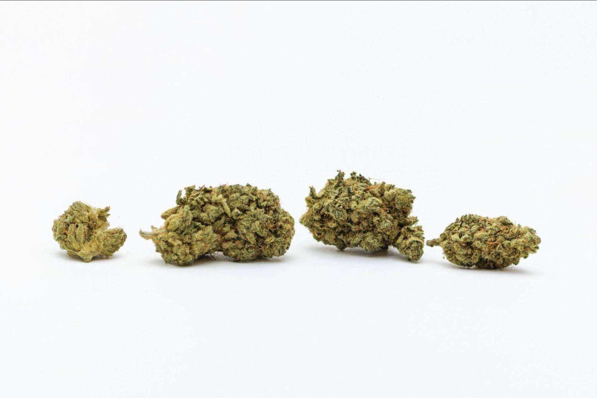 De Pata Verde: ¿Qué son las flores de cannabidiol?