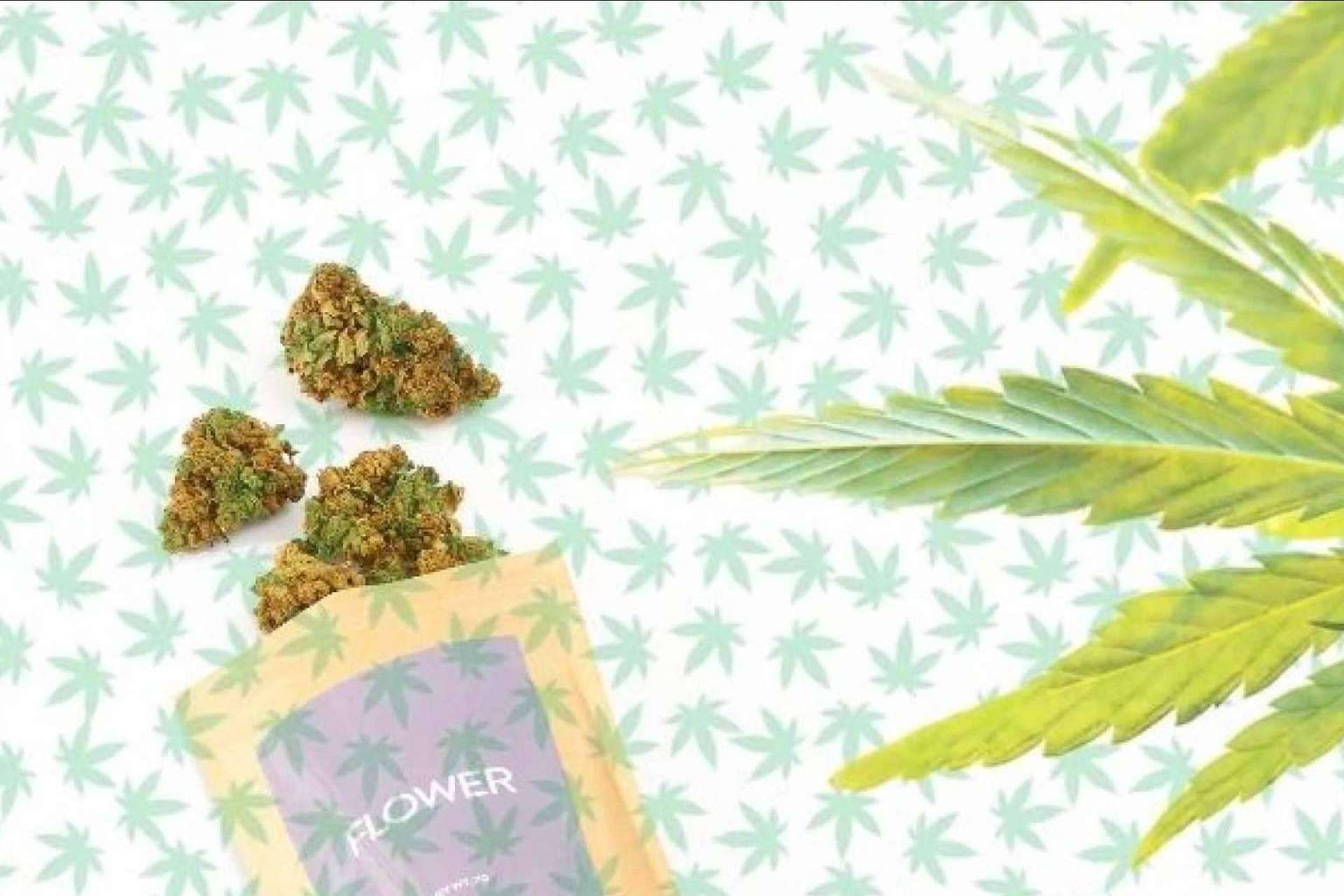 ¿Se pueden comprar flores CBD online? CBD Organics