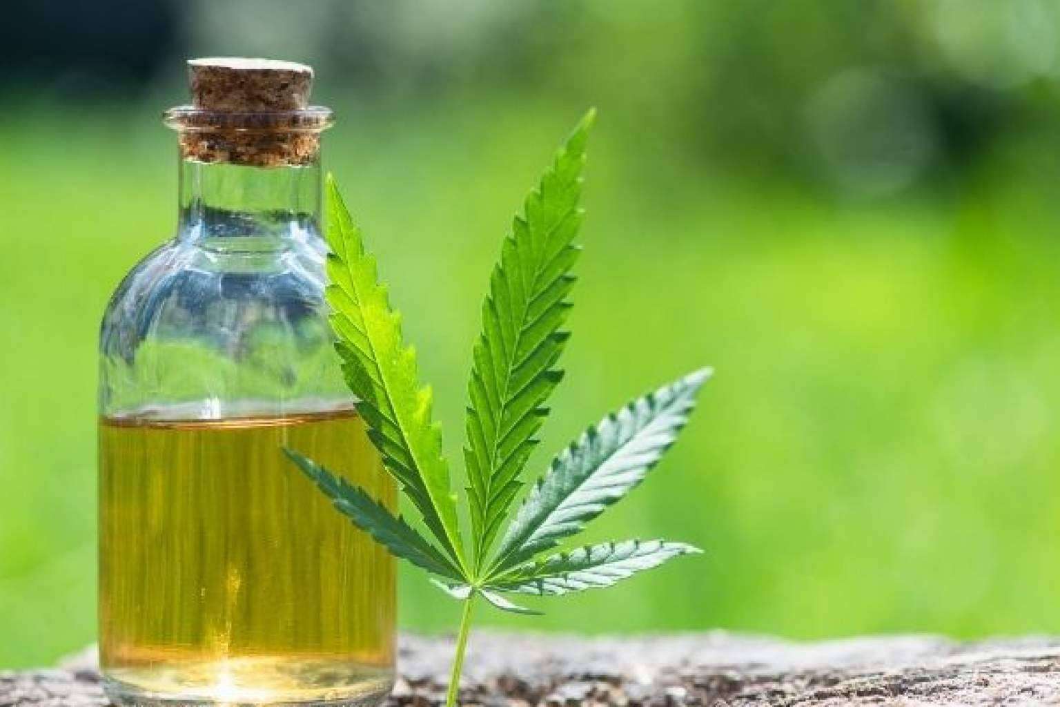 CBD Organics ofrece una amplia gama de aceite CBD