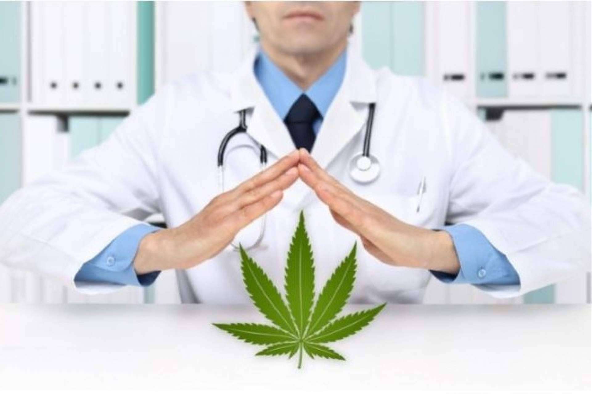 Comprar flores y extractos CBD en España. ¿Es legal?, por CBD Organics