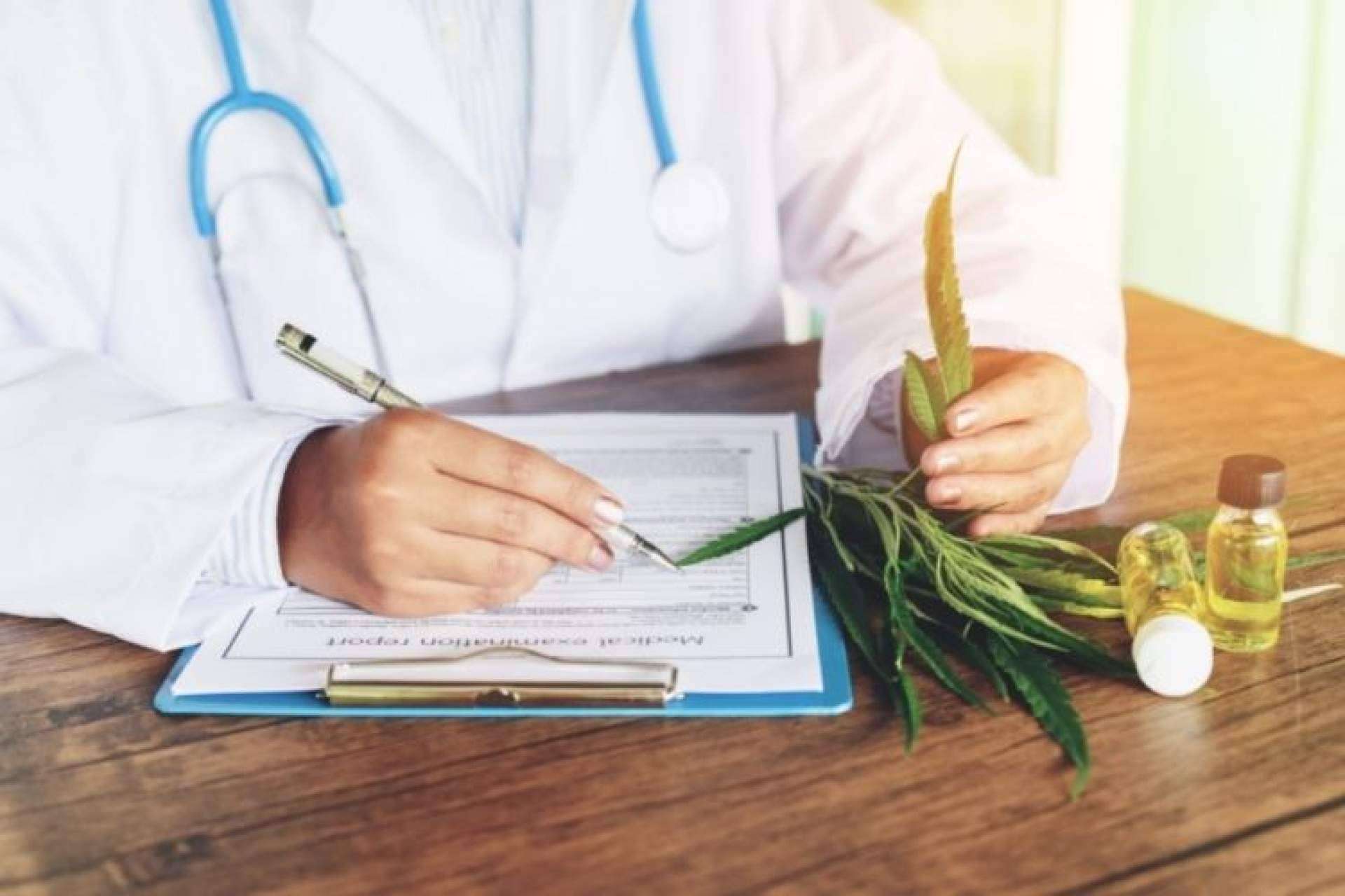 CBD Organics expone los beneficios de los aceites de CBD