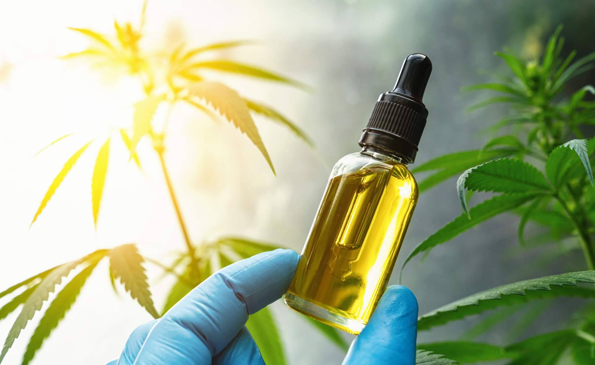 Legalhemp Biocosmetic, la tienda online que comercializa un extenso catálogo de aceite CBD