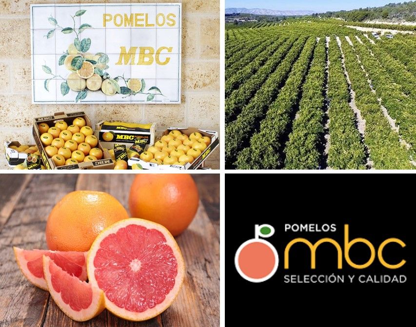 Foto de CEDEC, consultoría de organización estratégica de empresas