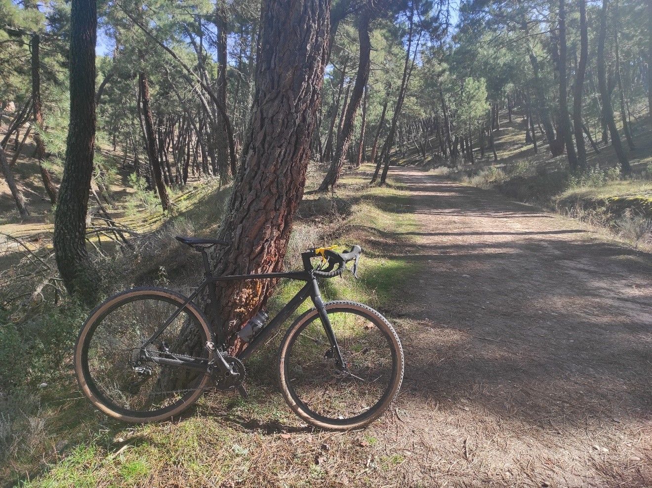 Cinco rutas de senderismo y otras tantas de BTT enlazan y dan a conocer las pedanías de Sigüenza