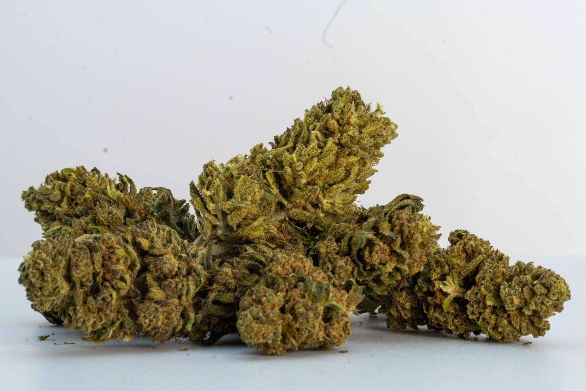 Cómo el CBD puede ayudar a mantener un estilo de vida activo, por los expertos de Ganesh Grow