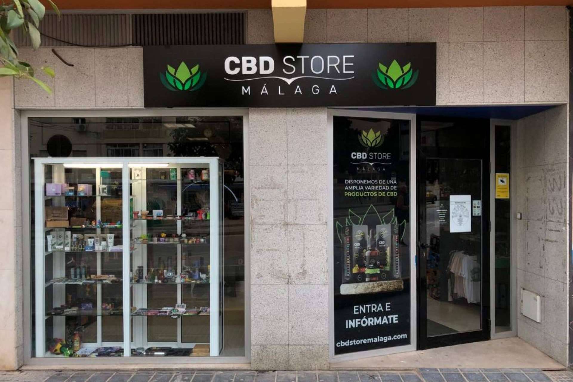 CBD Store Málaga explica los beneficios que aporta el consumo de CBD al organismo