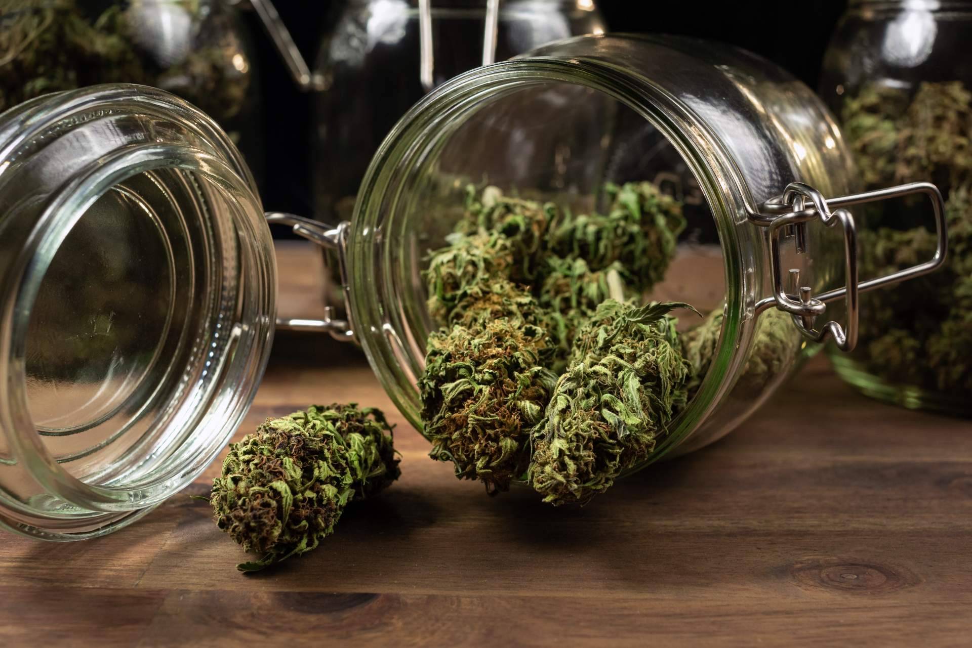 La Mal Querida Sativa explica la nueva normativa del 0,3 % aplicada a sus productos