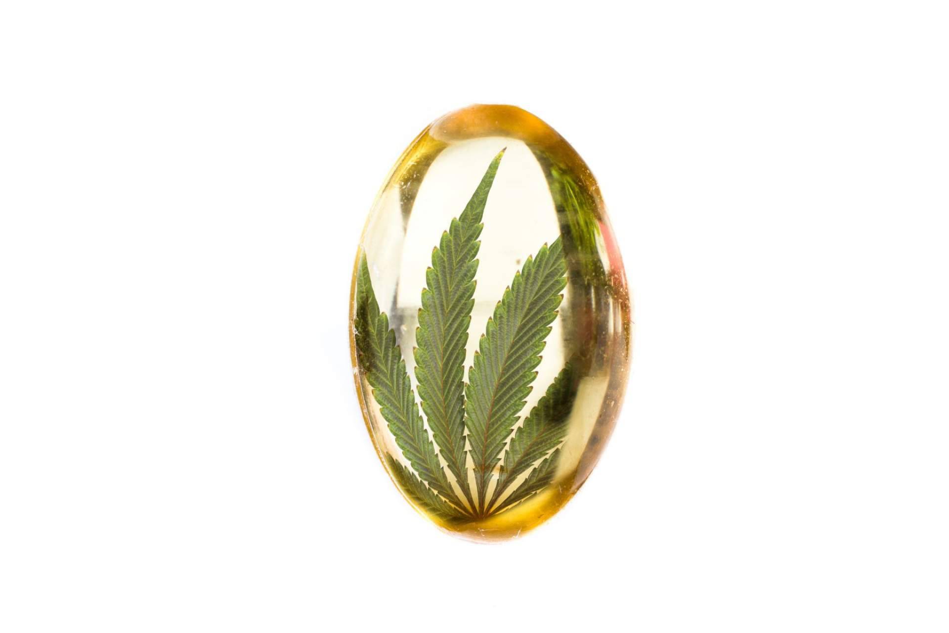 Amplia gama de aceites CBD con diferentes funcionalidades, de la mano de CBDrocks