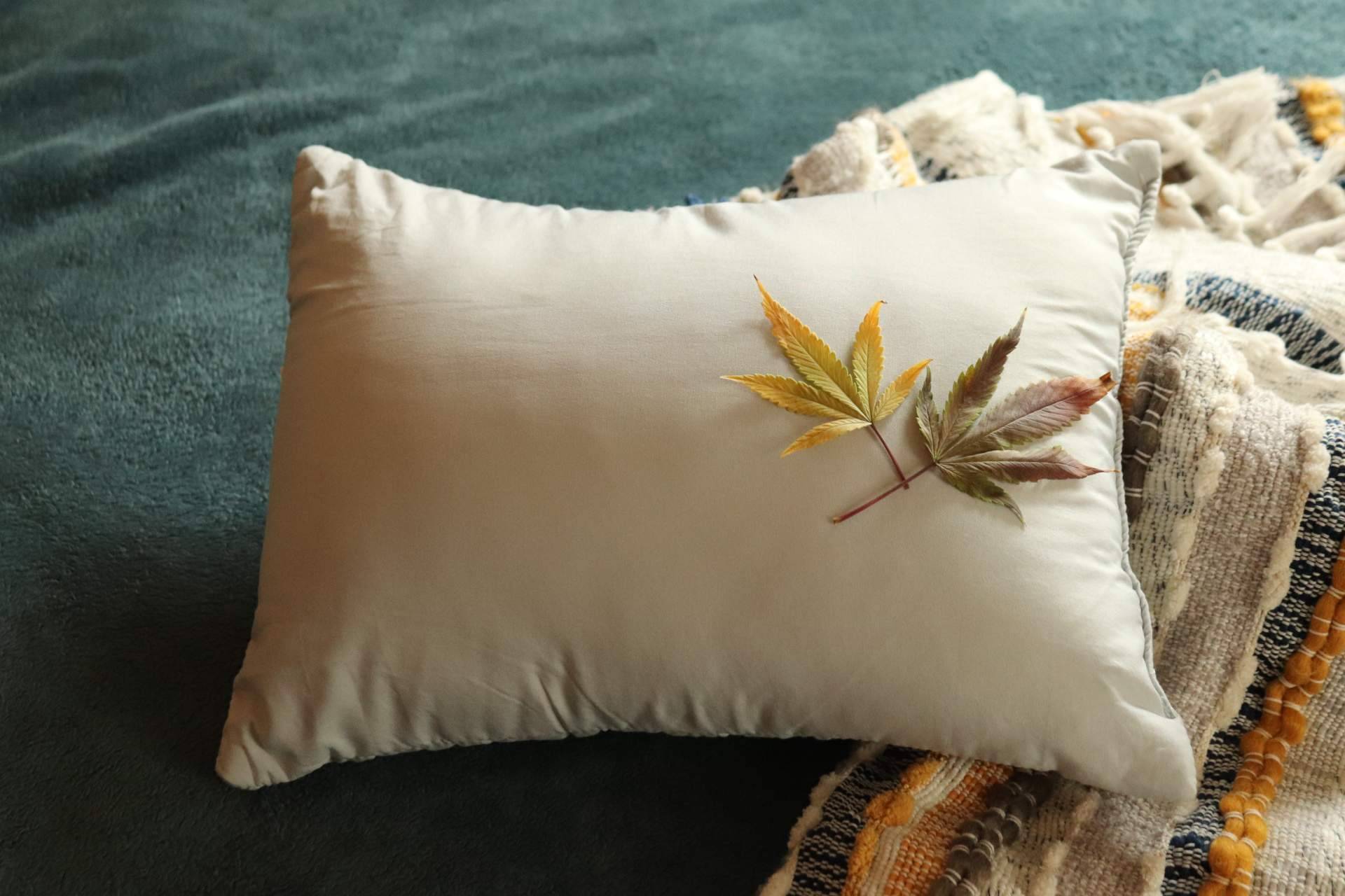 La función del aceite de CBD contra la ansiedad y el insomnio