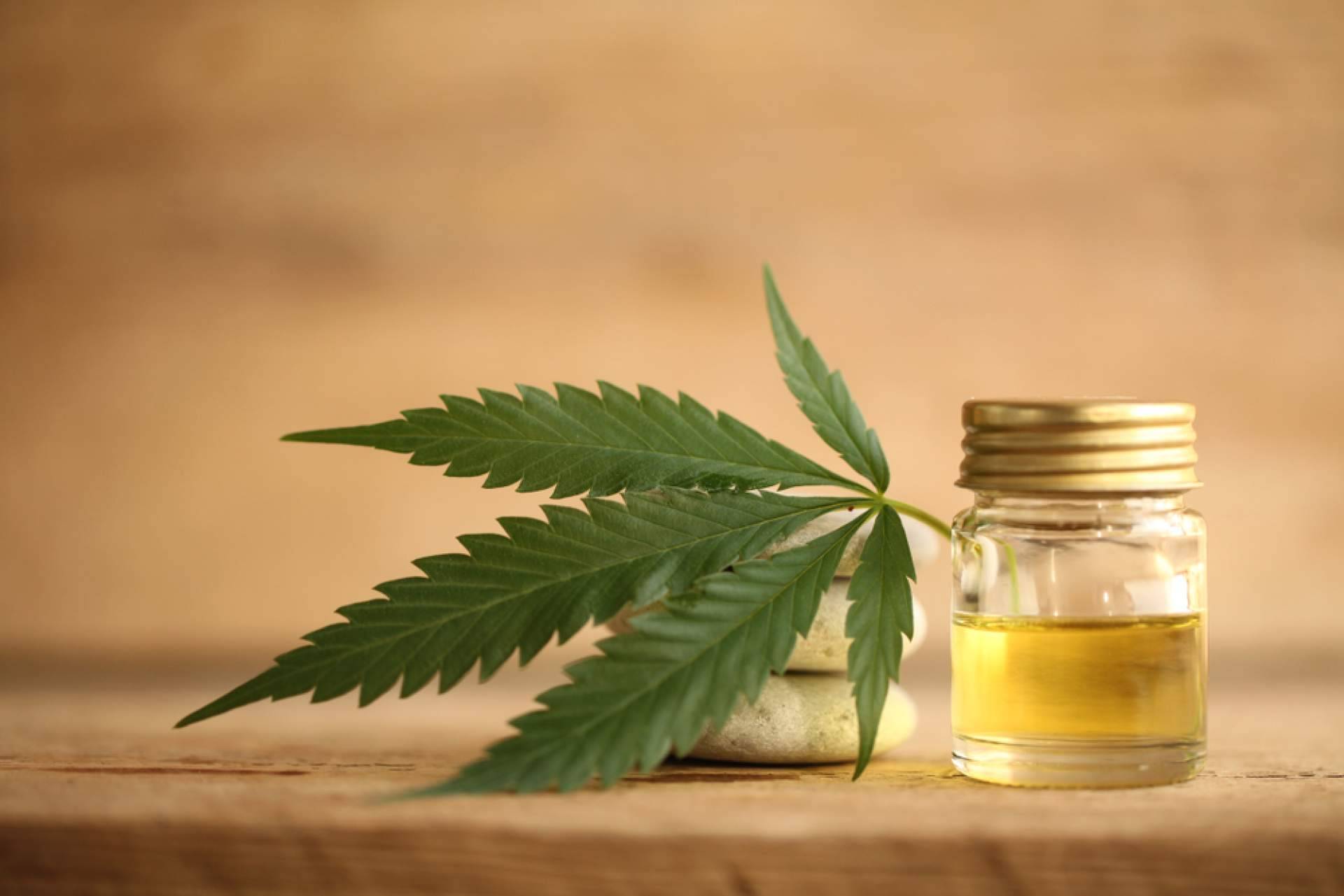 La forma de usar el CBD para tratar la ansiedad, por CBD Wonderfull