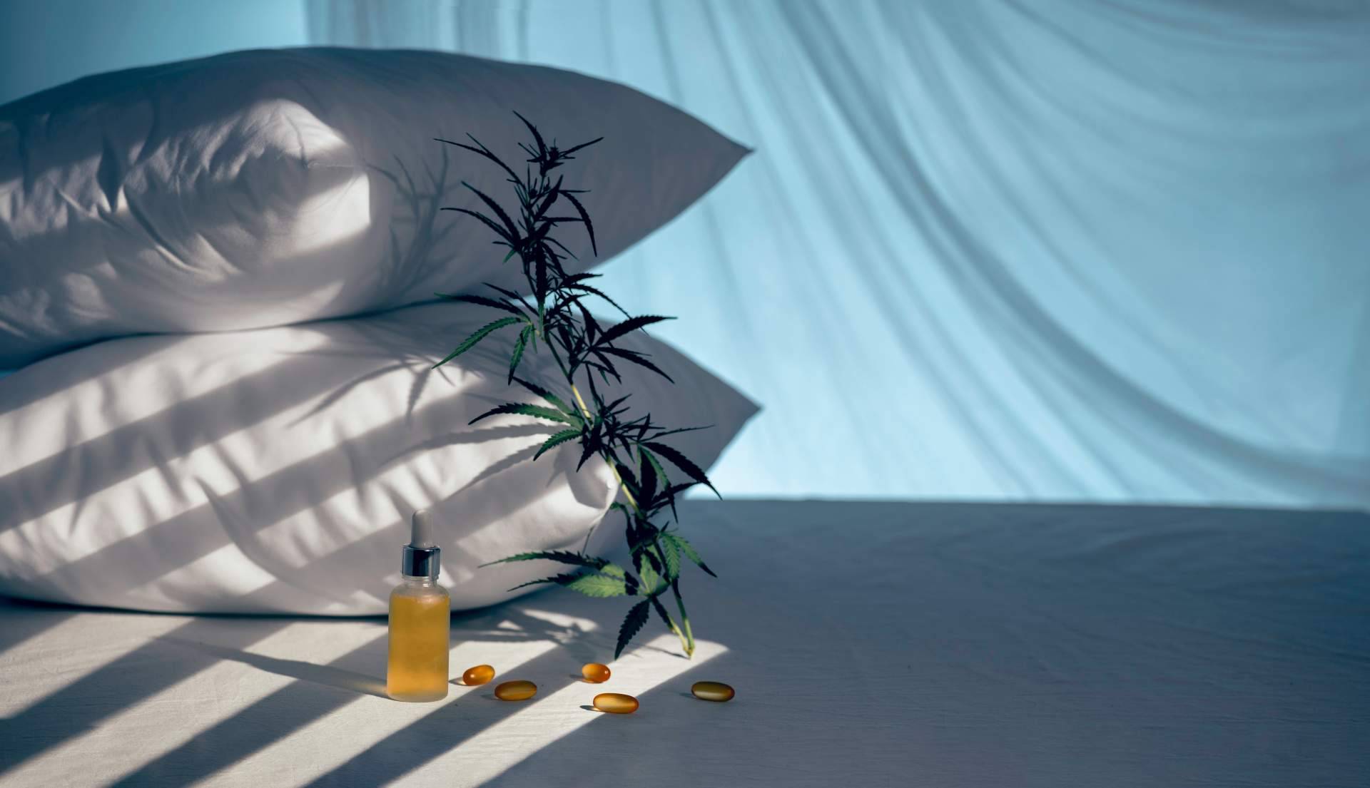 El CBD recomendado para dormir, por Flower Farm
