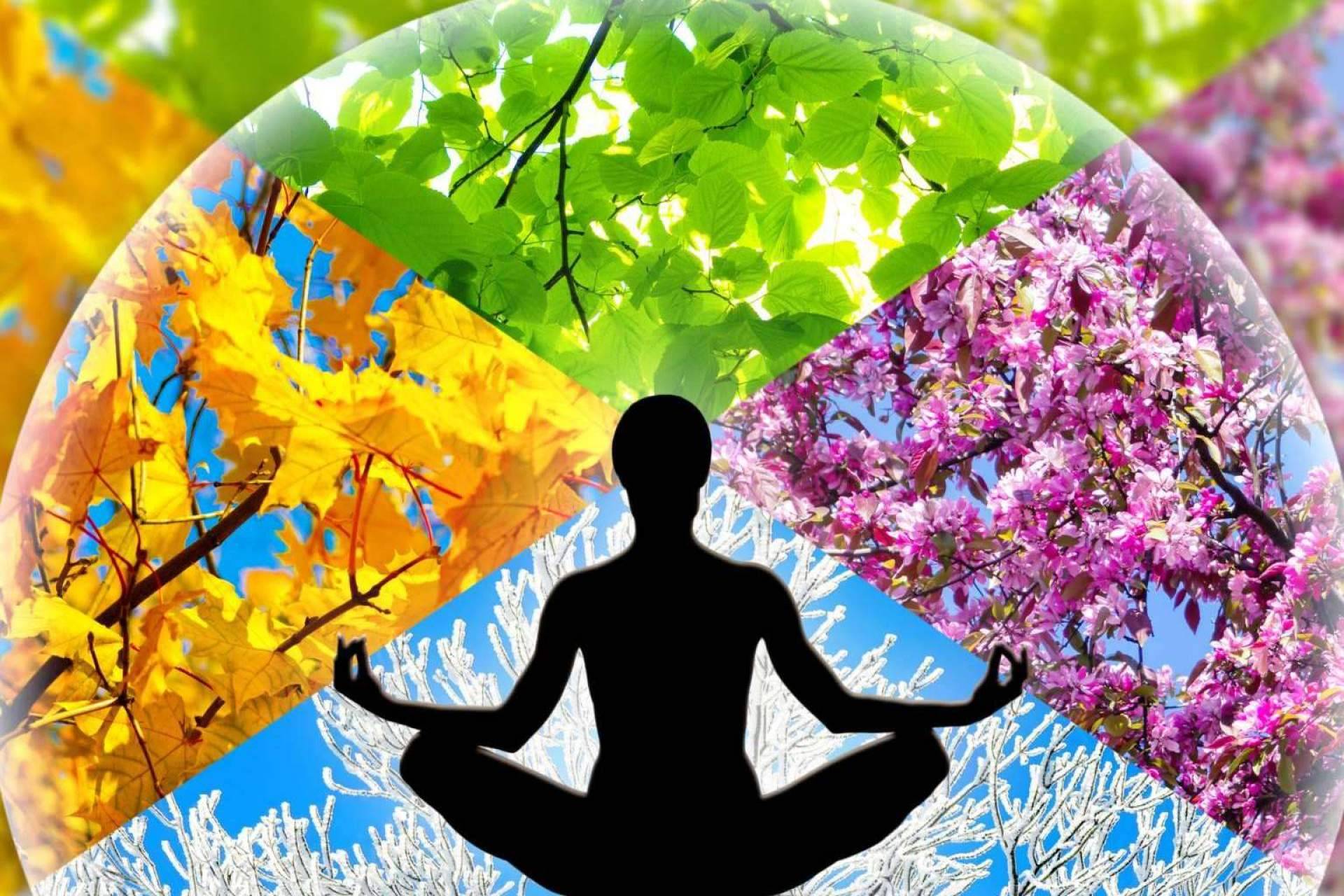 eeMindful ofrece terapias de meditación guiada con mindfulness