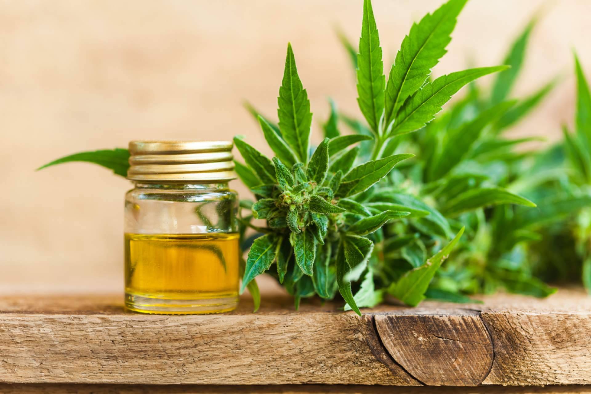 ¿Cuáles son los beneficios del CBD?, con CBD Torrejón