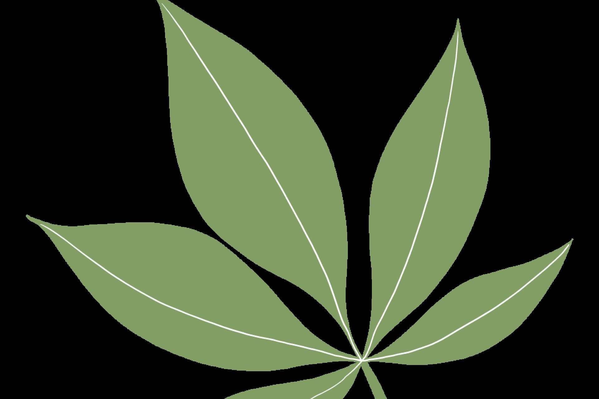 ¿Es legal comprar HHC?