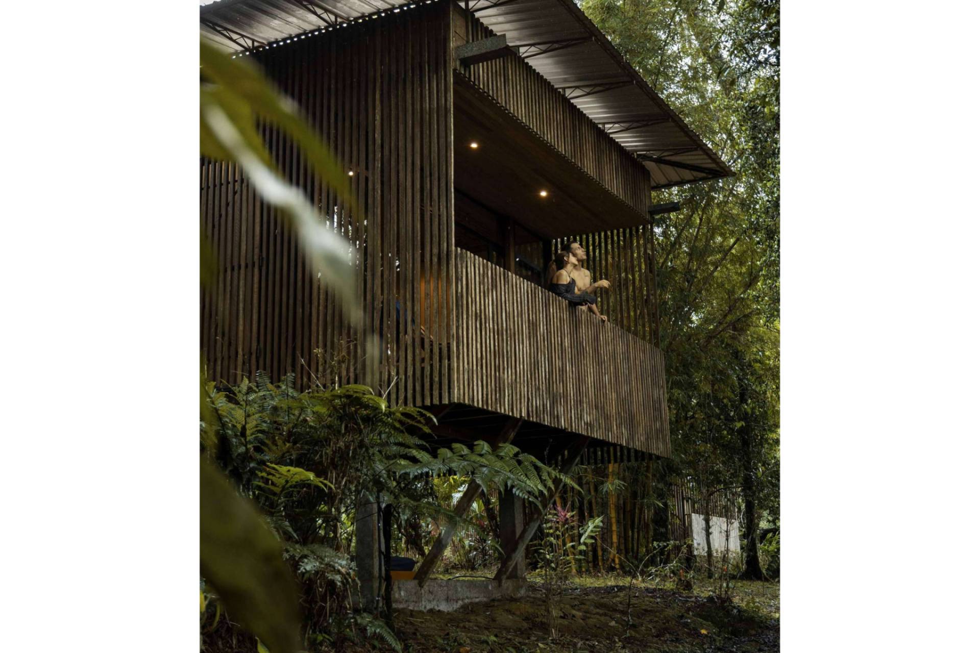 El retreat center Hamadryade Lodge, ¿qué es?