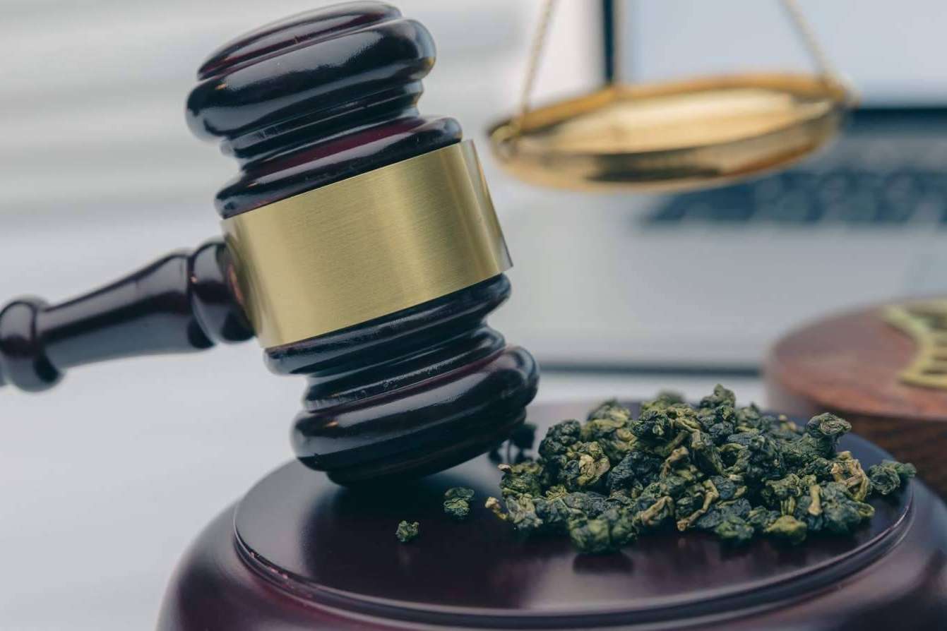 La importancia de consultar con abogados especializados en CBD para evitar transgredir la ley vigente