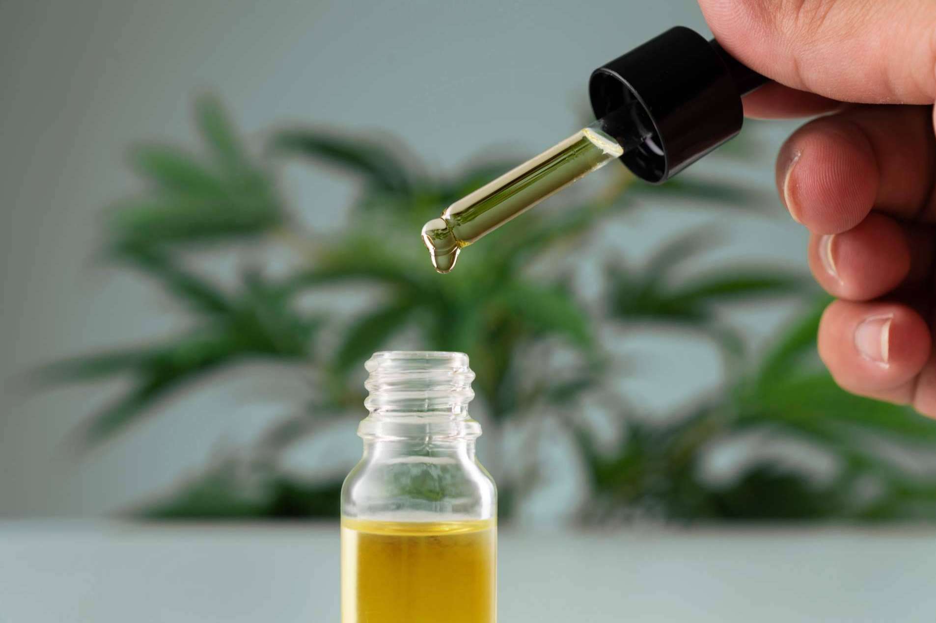 Arkano CBD informa sobre el bienestar que el cannabis medicinal puede ofrecer
