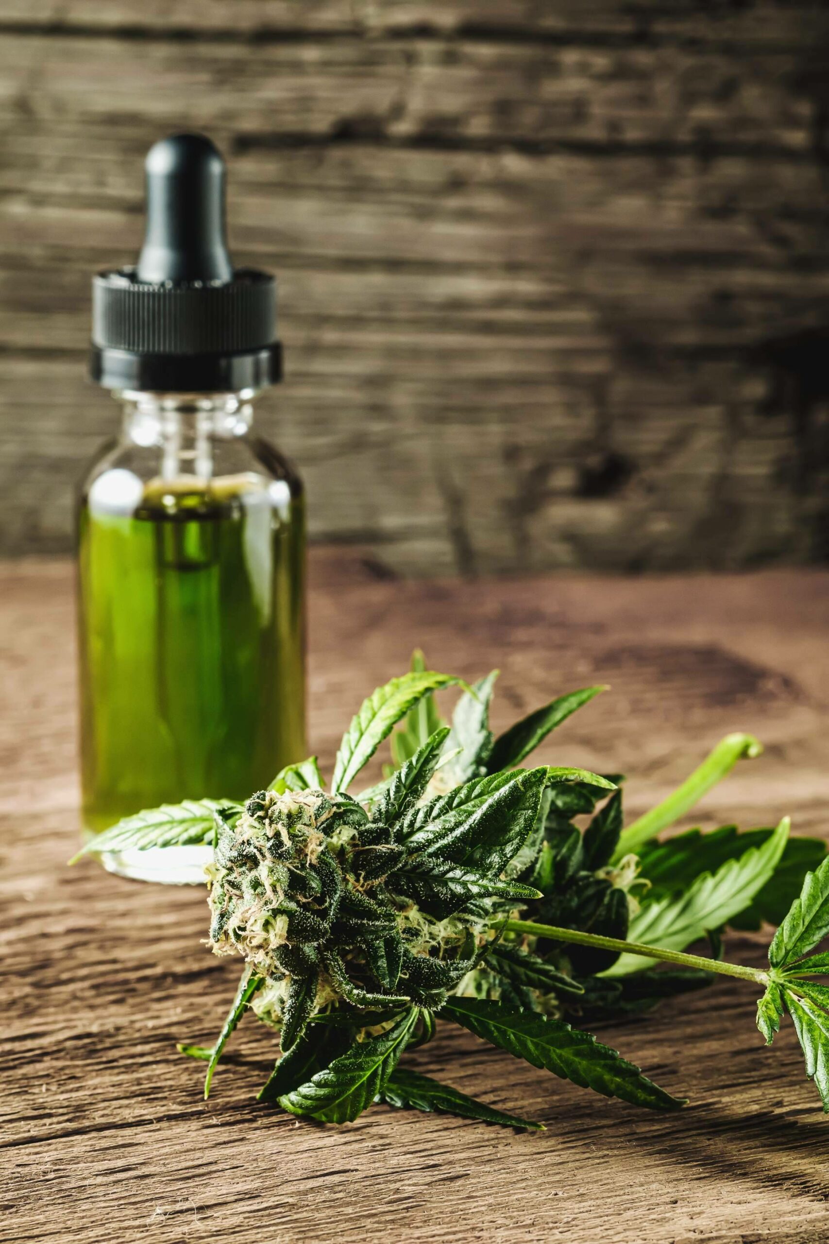 Comprar flores de CBD online, de la mano de Kannaia
