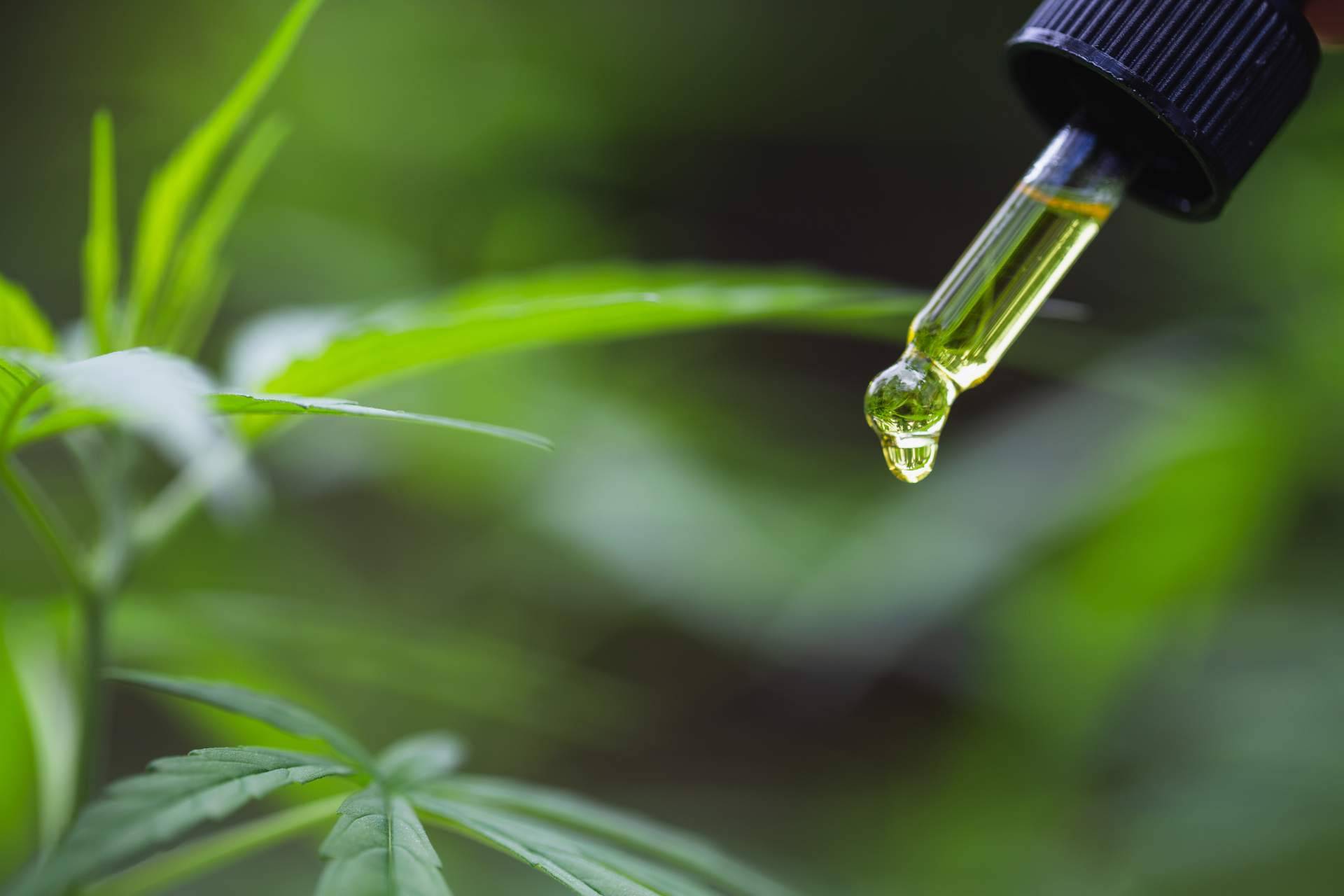 El aceite de CBD y sus propiedades analgésicas, ideales para ayudar a tratar las lesiones